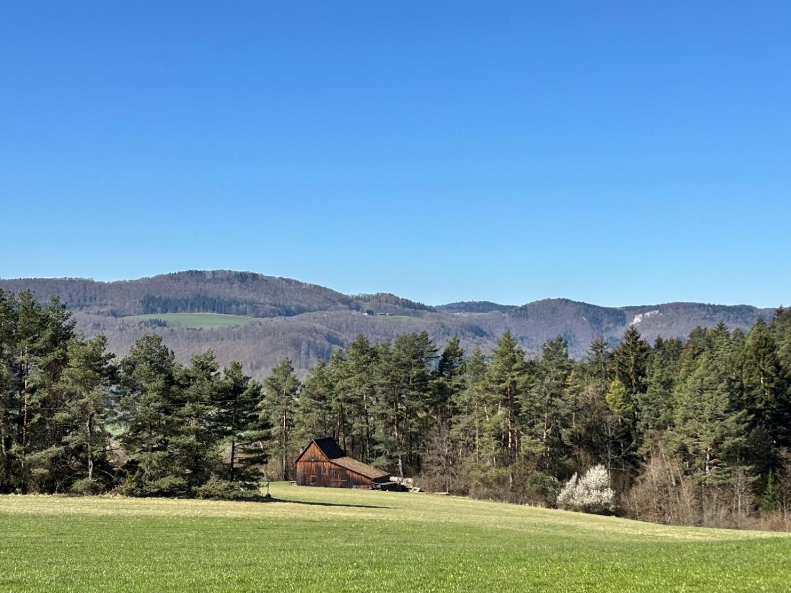 Apartament Atemberaubender Ausblick Mit Premium-Wanderwegen Vor Der Haustuer Albstadt Zewnętrze zdjęcie