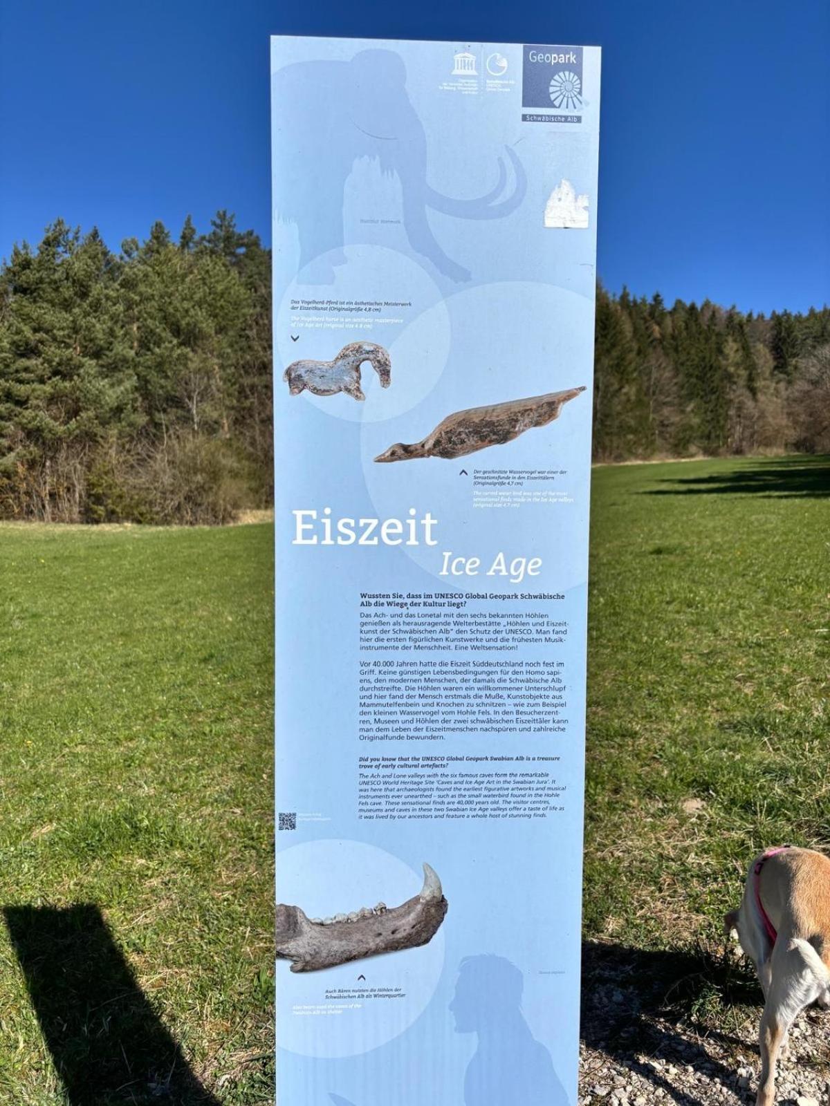 Apartament Atemberaubender Ausblick Mit Premium-Wanderwegen Vor Der Haustuer Albstadt Zewnętrze zdjęcie